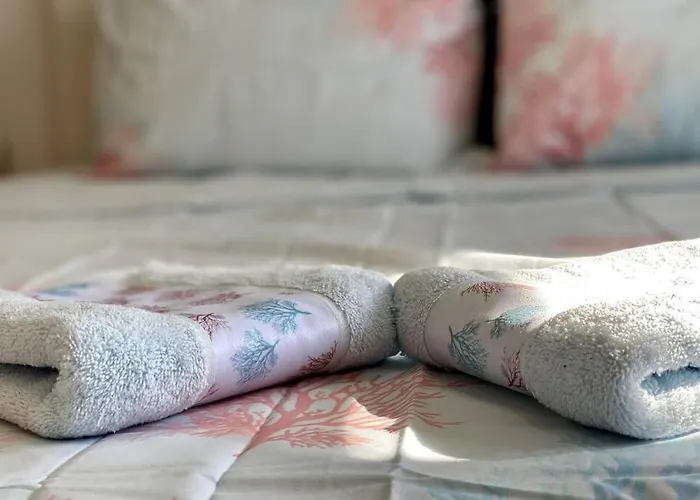 Matea's 800 M To Center Free Parking Skopje